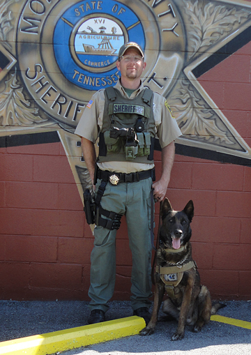 K9 Clint and Eros
