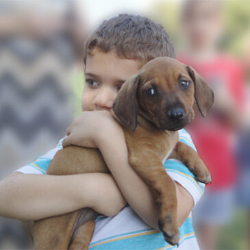 Monroe County Animal Shelter's adoption event