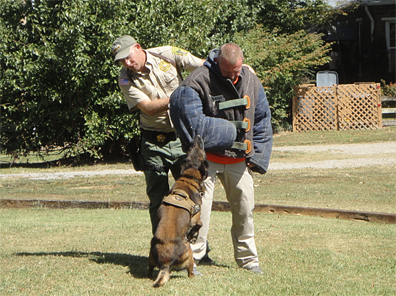 Sheriff Tommy Jones in the "bite suit" for a K9 demo